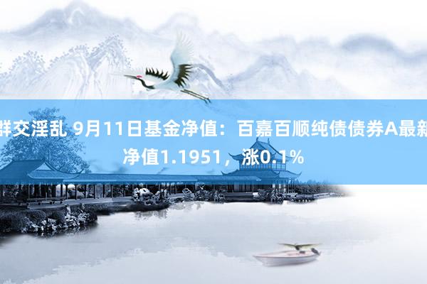 群交淫乱 9月11日基金净值：百嘉百顺纯债债券A最新净值1.1951，涨0.1%