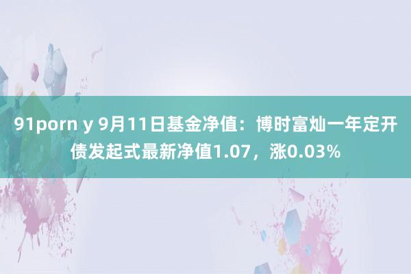 91porn y 9月11日基金净值：博时富灿一年定开债发起式最新净值1.07，涨0.03%