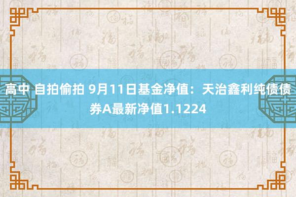 高中 自拍偷拍 9月11日基金净值：天治鑫利纯债债券A最新净值1.1224