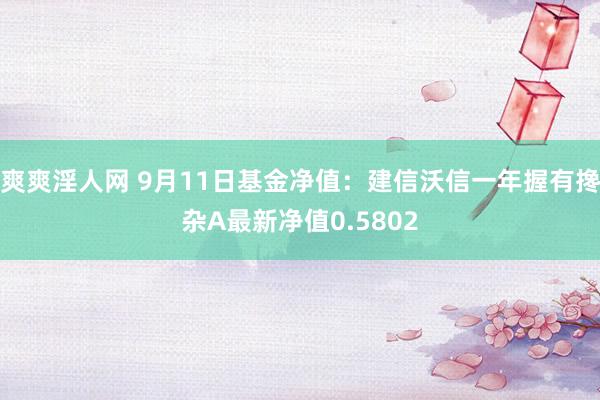 爽爽淫人网 9月11日基金净值：建信沃信一年握有搀杂A最新净值0.5802