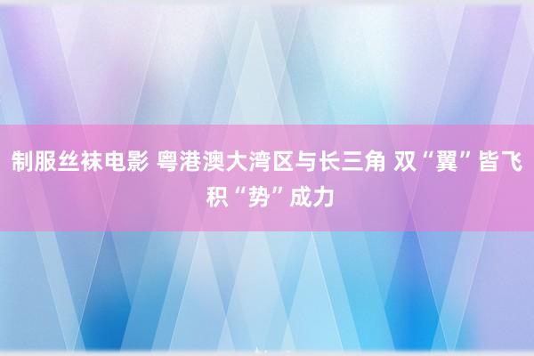 制服丝袜电影 粤港澳大湾区与长三角 双“翼”皆飞 积“势”成力