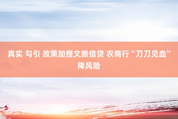 真实 勾引 政策加捏文旅信贷 农商行“刀刀见血”降风险