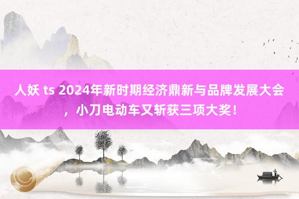 人妖 ts 2024年新时期经济鼎新与品牌发展大会，小刀电动车又斩获三项大奖！