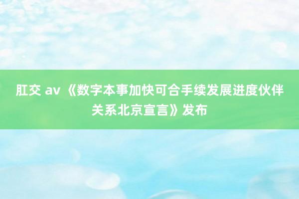 肛交 av 《数字本事加快可合手续发展进度伙伴关系北京宣言》发布