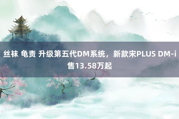 丝袜 龟责 升级第五代DM系统，新款宋PLUS DM-i售13.58万起