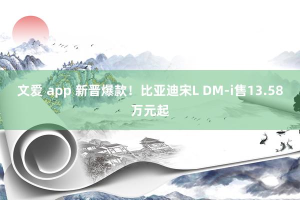 文爱 app 新晋爆款！比亚迪宋L DM-i售13.58万元起