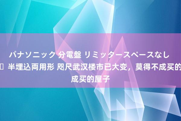 パナソニック 分電盤 リミッタースペースなし 露出・半埋込両用形 咫尺武汉楼市已大变，莫得不成买的屋子