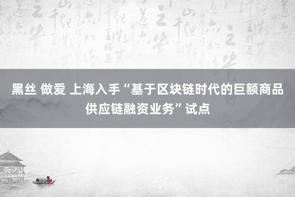 黑丝 做爱 上海入手“基于区块链时代的巨额商品供应链融资业务”试点