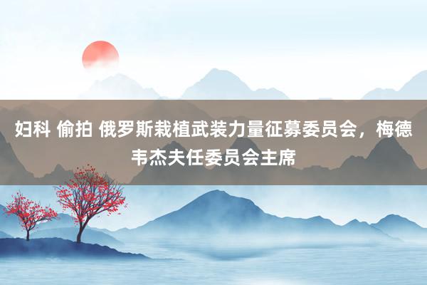 妇科 偷拍 俄罗斯栽植武装力量征募委员会，梅德韦杰夫任委员会主席