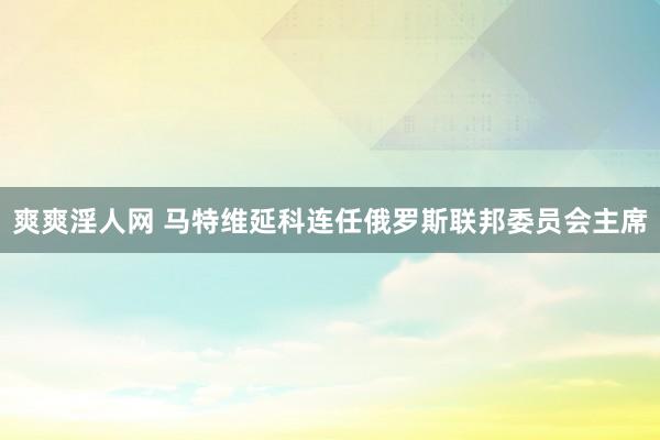 爽爽淫人网 马特维延科连任俄罗斯联邦委员会主席