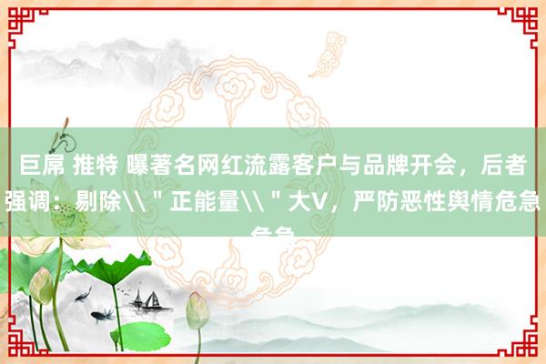 巨屌 推特 曝著名网红流露客户与品牌开会，后者强调：剔除\＂正能量\＂大V，严防恶性舆情危急