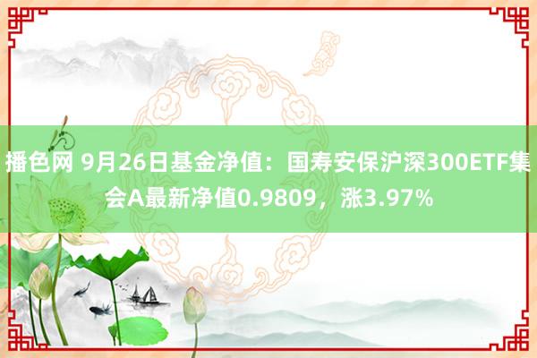 播色网 9月26日基金净值：国寿安保沪深300ETF集会A最新净值0.9809，涨3.97%