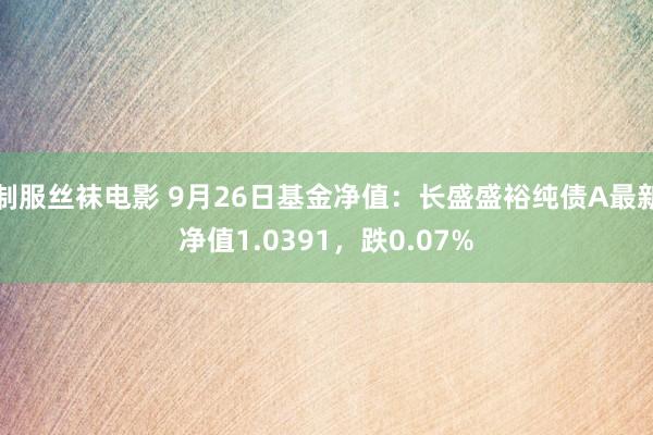 制服丝袜电影 9月26日基金净值：长盛盛裕纯债A最新净值1.0391，跌0.07%