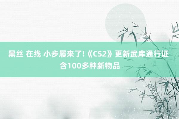 黑丝 在线 小步履来了!《CS2》更新武库通行证 含100多种新物品