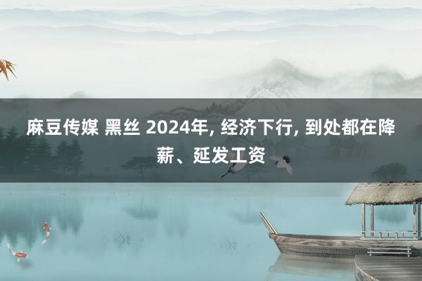 麻豆传媒 黑丝 2024年， 经济下行， 到处都在降薪、延发工资