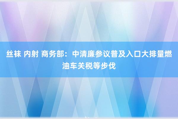 丝袜 内射 商务部：中清廉参议普及入口大排量燃油车关税等步伐