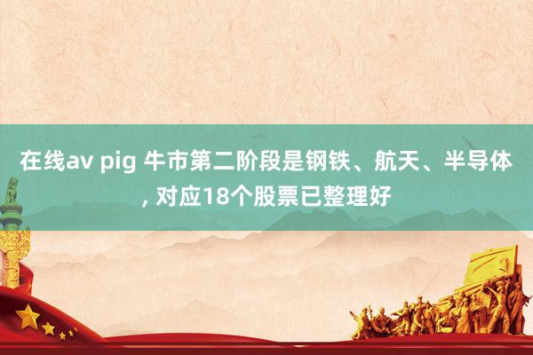 在线av pig 牛市第二阶段是钢铁、航天、半导体， 对应18个股票已整理好