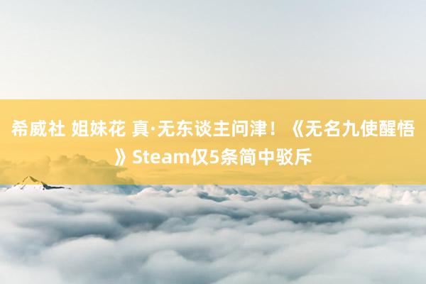 希威社 姐妹花 真·无东谈主问津！《无名九使醒悟》Steam仅5条简中驳斥