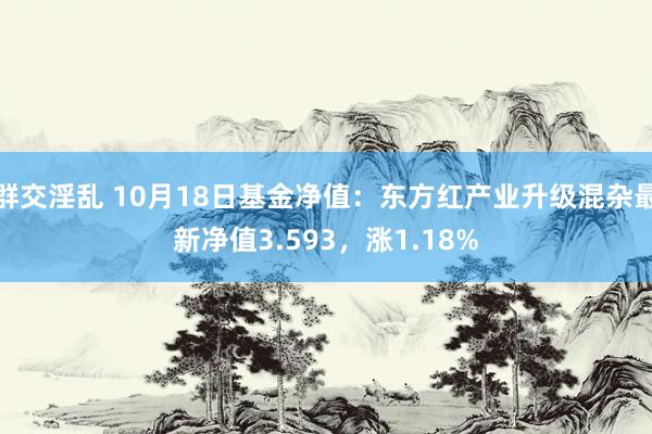 群交淫乱 10月18日基金净值：东方红产业升级混杂最新净值3.593，涨1.18%