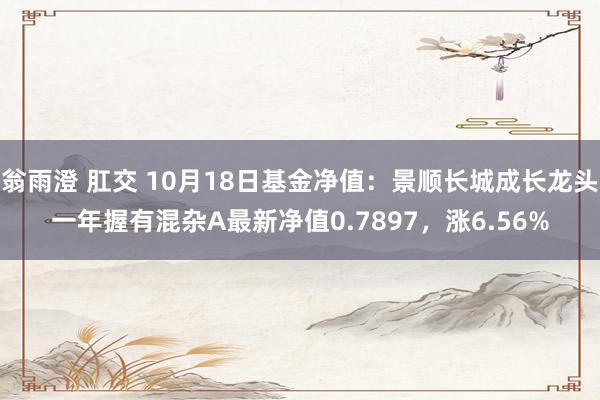 翁雨澄 肛交 10月18日基金净值：景顺长城成长龙头一年握有混杂A最新净值0.7897，涨6.56%