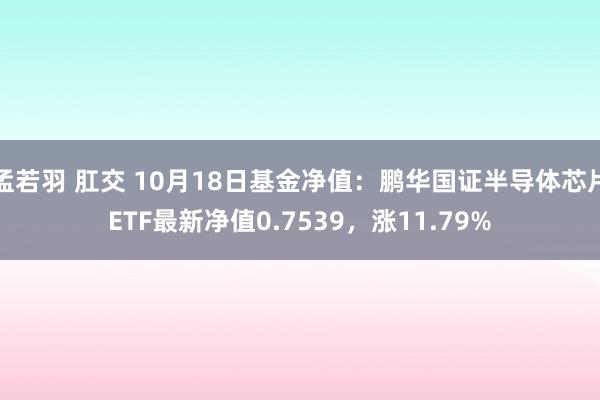 孟若羽 肛交 10月18日基金净值：鹏华国证半导体芯片ETF最新净值0.7539，涨11.79%