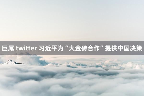 巨屌 twitter 习近平为“大金砖合作”提供中国决策