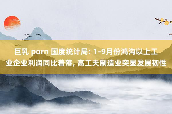 巨乳 porn 国度统计局: 1-9月份鸿沟以上工业企业利润同比着落， 高工夫制造业突显发展韧性