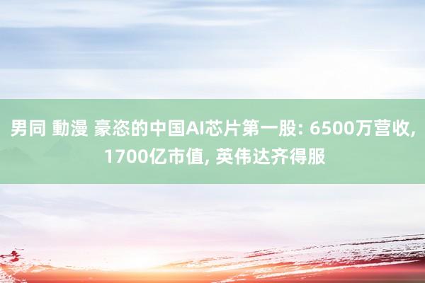 男同 動漫 豪恣的中国AI芯片第一股: 6500万营收， 1700亿市值， 英伟达齐得服