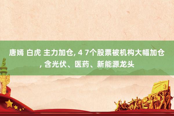 唐嫣 白虎 主力加仓， 4 7个股票被机构大幅加仓， 含光伏、医药、新能源龙头