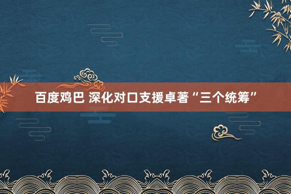 百度鸡巴 深化对口支援卓著“三个统筹”