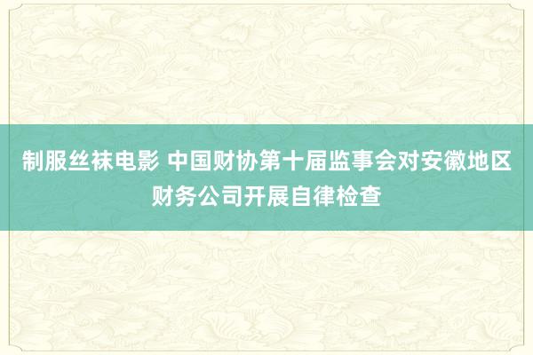 制服丝袜电影 中国财协第十届监事会对安徽地区财务公司开展自律检查