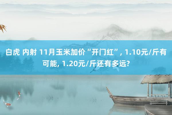 白虎 内射 11月玉米加价“开门红”， 1.10元/斤有可能， 1.20元/斤还有多远?