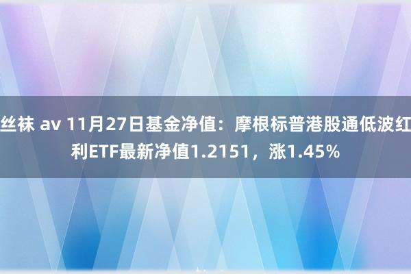 丝袜 av 11月27日基金净值：摩根标普港股通低波红利ETF最新净值1.2151，涨1.45%