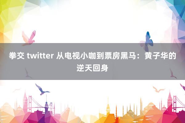 拳交 twitter 从电视小咖到票房黑马：黄子华的逆天回身