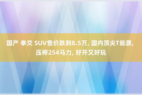 国产 拳交 SUV售价跌到8.5万， 国内顶尖T能源， 压榨254马力， 好开又好玩