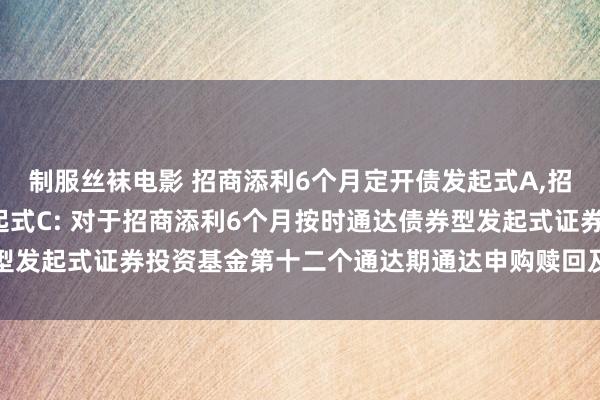 制服丝袜电影 招商添利6个月定开债发起式A，招商添利6个月定开债发起式C: 对于招商添利6个月按时通达债券型发起式证券投资基金第十二个通达期通达申购赎回及转念业务的公告