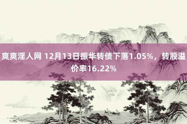 爽爽淫人网 12月13日振华转债下落1.05%，转股溢价率16.22%