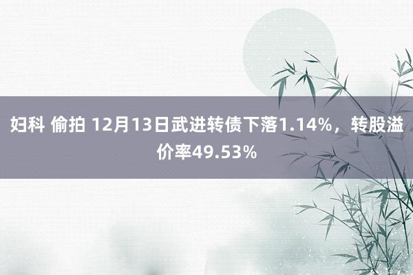 妇科 偷拍 12月13日武进转债下落1.14%，转股溢价率49.53%