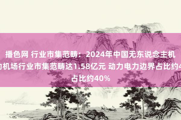 播色网 行业市集范畴：2024年中国无东说念主机自动机场行业市集范畴达1.58亿元 动力电力边界占比约40%