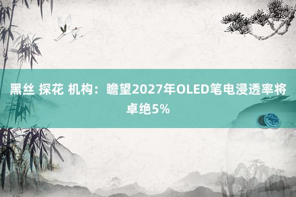 黑丝 探花 机构：瞻望2027年OLED笔电浸透率将卓绝5%