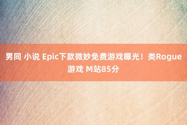 男同 小说 Epic下款微妙免费游戏曝光！类Rogue游戏 M站85分