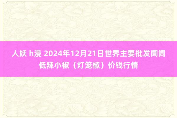 人妖 h漫 2024年12月21日世界主要批发阛阓低辣小椒（灯笼椒）价钱行情