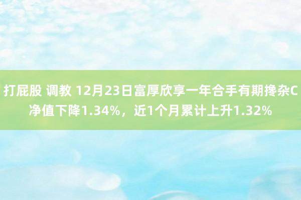 打屁股 调教 12月23日富厚欣享一年合手有期搀杂C净值下降1.34%，近1个月累计上升1.32%