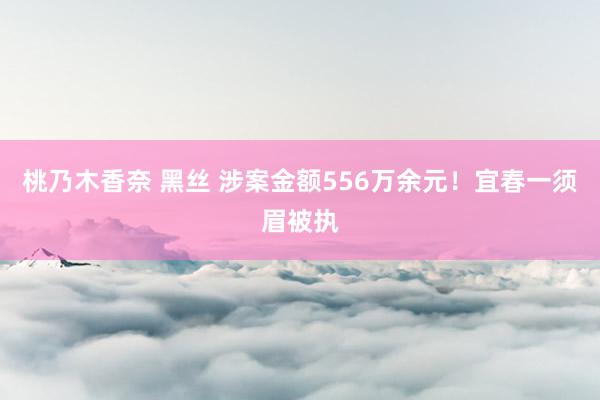 桃乃木香奈 黑丝 涉案金额556万余元！宜春一须眉被执