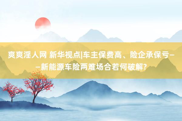 爽爽淫人网 新华视点|车主保费高、险企承保亏——新能源车险两难场合若何破解?