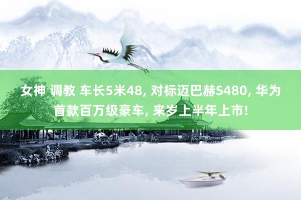 女神 调教 车长5米48， 对标迈巴赫S480， 华为首款百万级豪车， 来岁上半年上市!