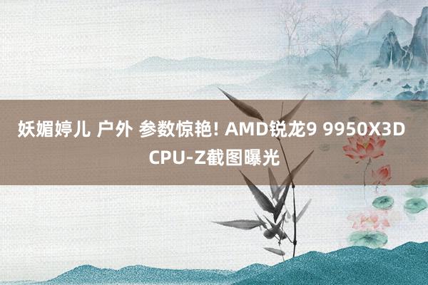 妖媚婷儿 户外 参数惊艳! AMD锐龙9 9950X3D CPU-Z截图曝光