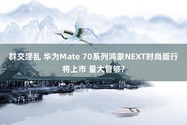 群交淫乱 华为Mate 70系列鸿蒙NEXT时尚版行将上市 量大管够?