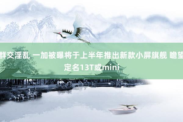 群交淫乱 一加被曝将于上半年推出新款小屏旗舰 瞻望定名13T或mini