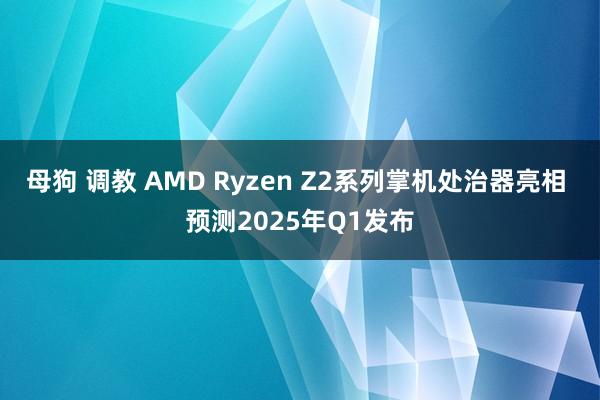 母狗 调教 AMD Ryzen Z2系列掌机处治器亮相 预测2025年Q1发布